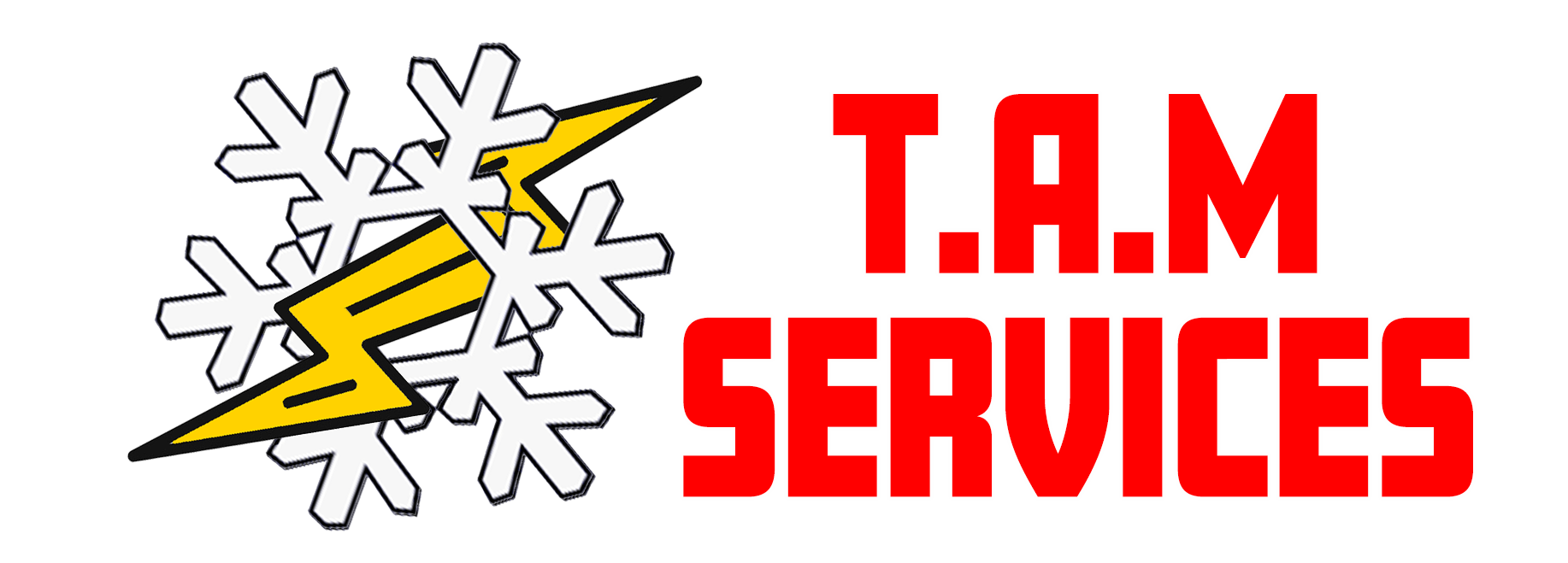 TAM SERVICES Logo